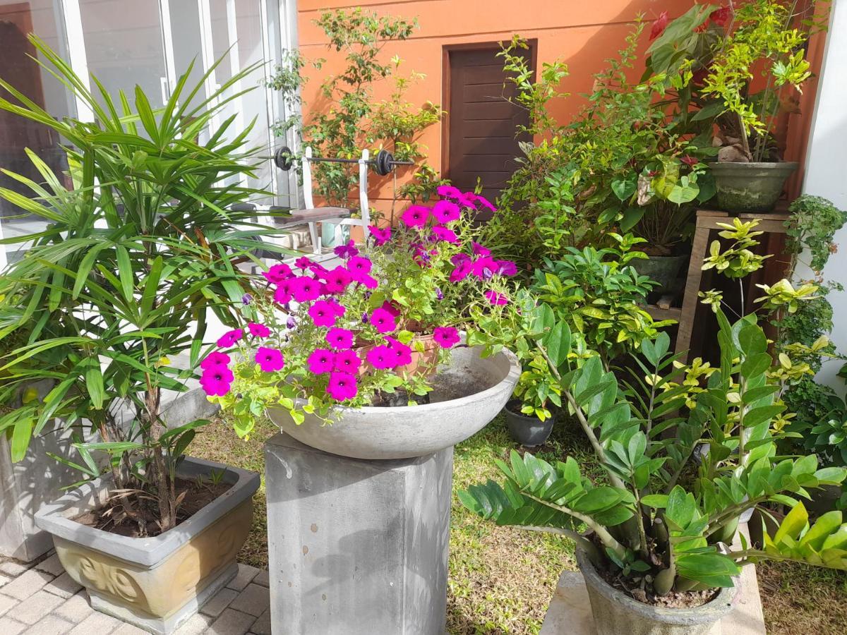 Marine At 3* Negombo